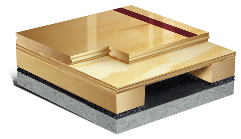 aacercush-i-plus-845×487 aacercush-i-plus-845×487